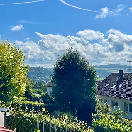 Michena 公寓 瓦尔茨胡特·田根